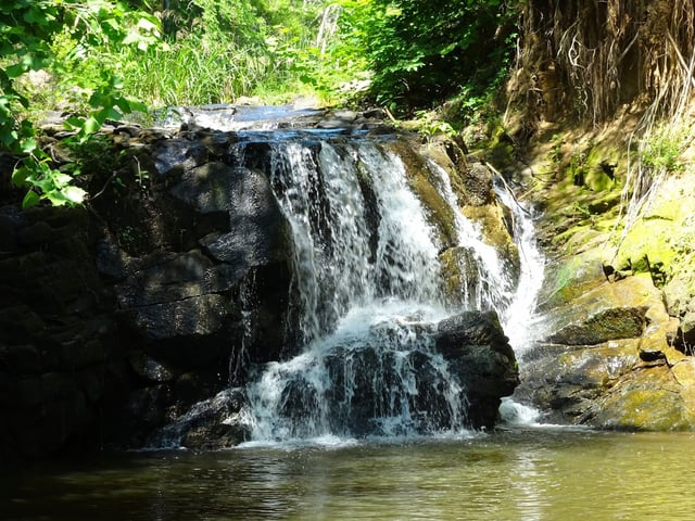 Chester State Park 5