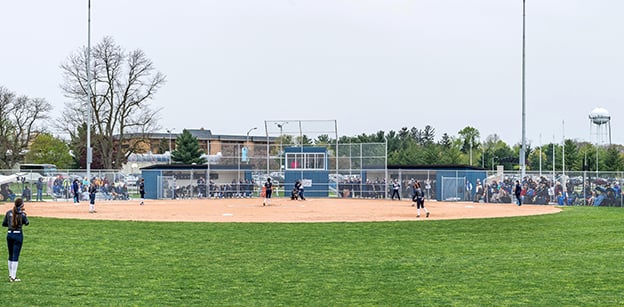 purcell-softball