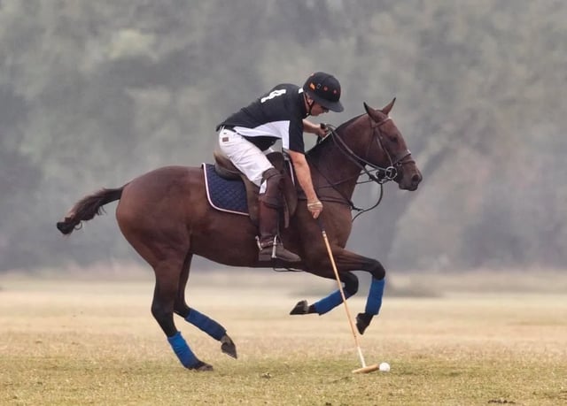 Fairfield Polo Club2