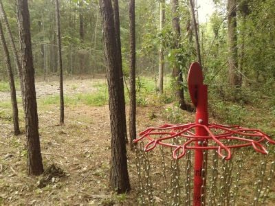Dillon Park9