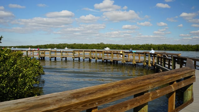 Lynn Hall Memorial Park & Pier 5