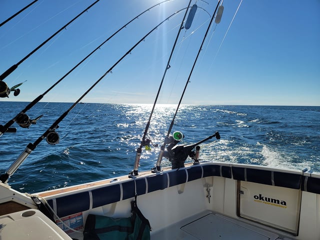 Tiny Bubbles Charters 3