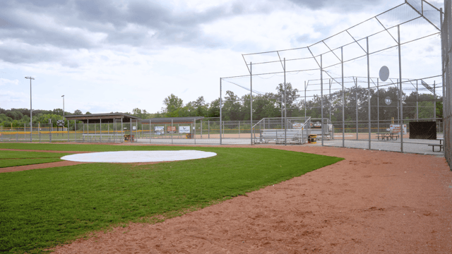 Untitled design (5).png