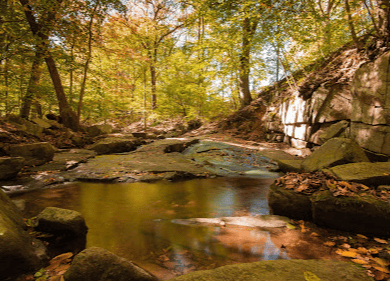 Susquehanna State Park 4