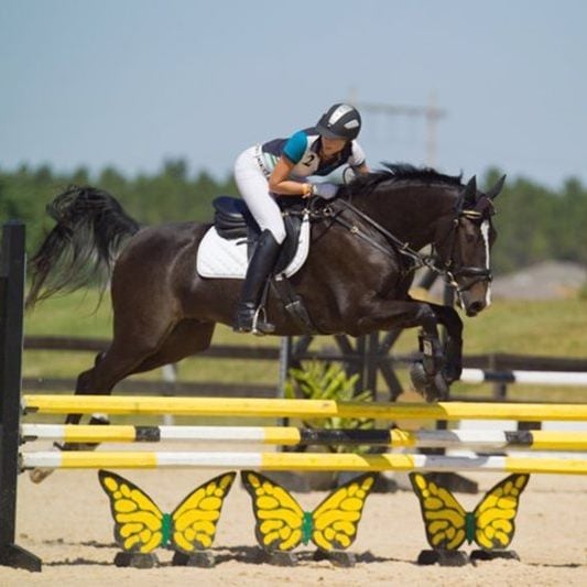 Alachua County Agriculture and Equestrian Center 6