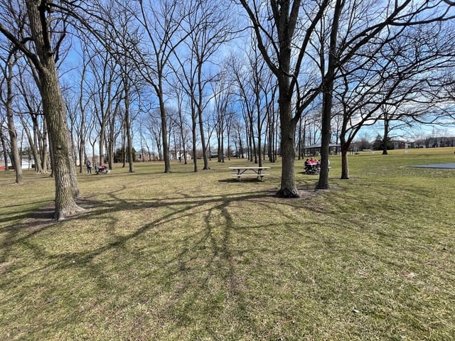 Roy G. Holland Memorial Park12