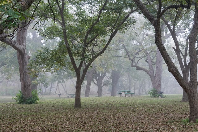 Richard Moya Park