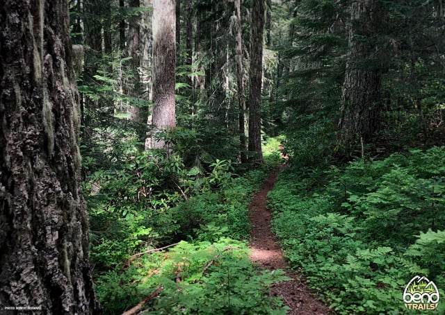 King-Castle Trail 5