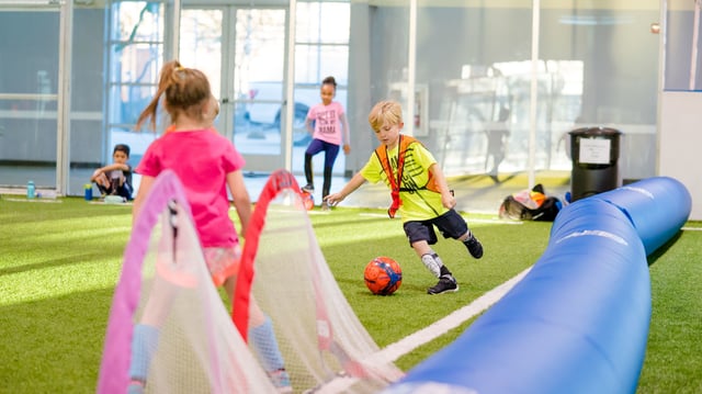 AnyConv.com__Cactus Yards 5