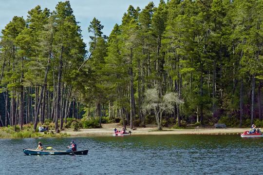Jessie M. Honeyman State Park 6