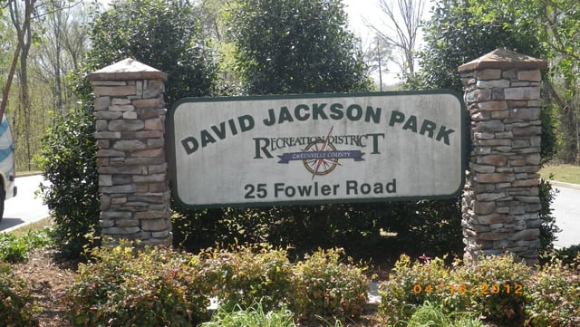 David 5