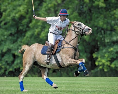 Harford Polo Grounds 1