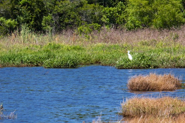 Oris Blackburn Memorial Park2