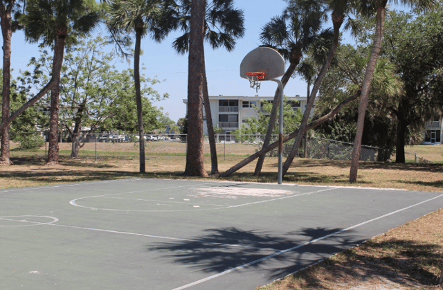 Screen Shot 2024-11-20 at 12.46.26 PM.png