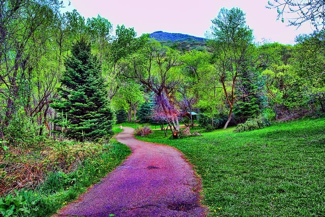 Beus Pond:Forest Green Park 6