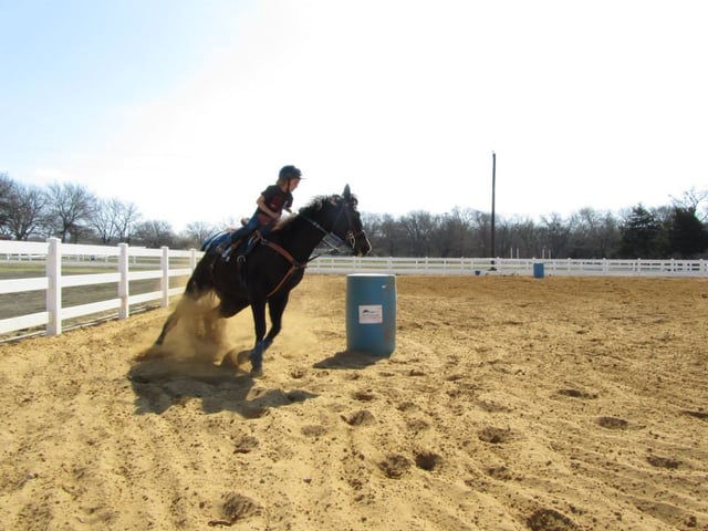 Dallas Equestrian Center5