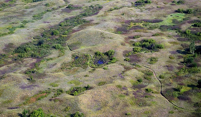 SandHillsStatePark