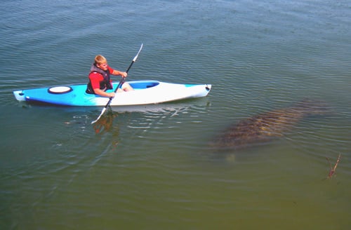 Sea Monkeys Watersports4