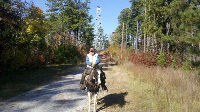 horse riding