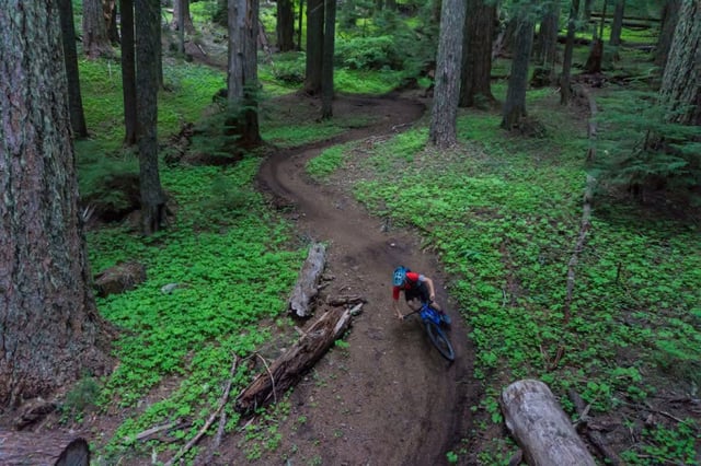 Alpine Trail5