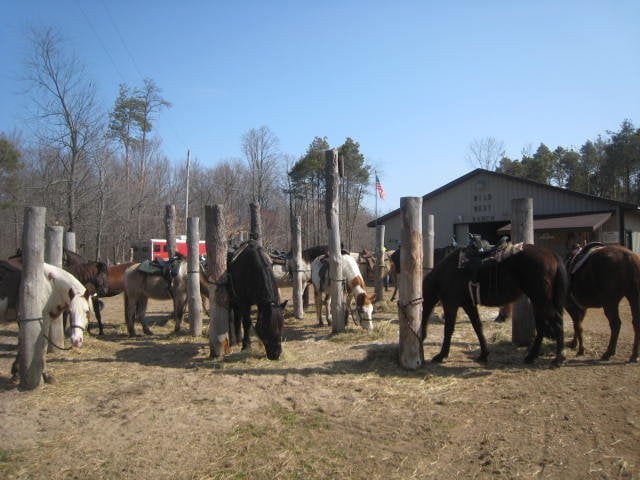 Wild West Ranch LLC2