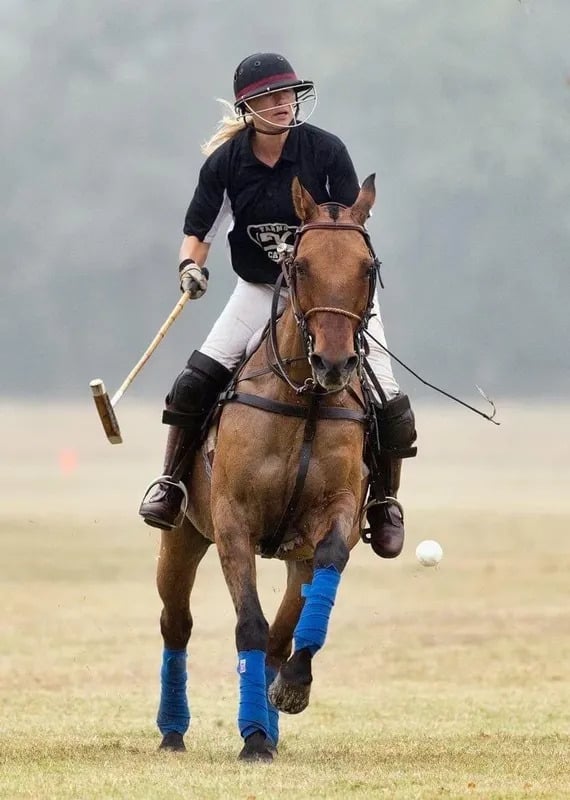 Fairfield Polo Club5
