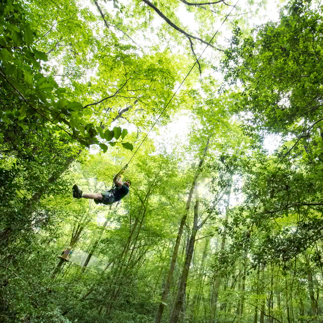 Go Ape Treetop Adventure Course2