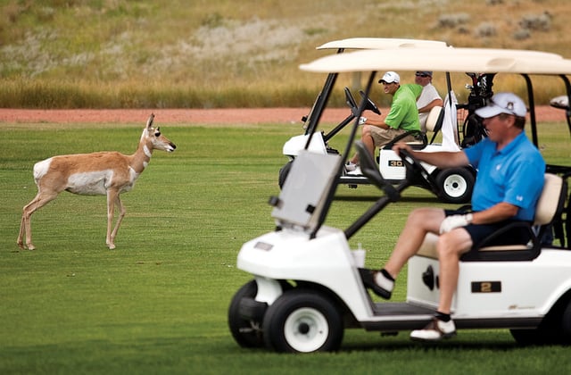 AnyConv.com__Bell Knob Golf Course 4