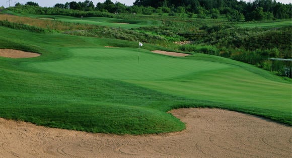 Wild Ridge Golf Course & Event Center3