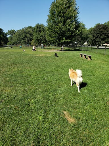 Woodland Park3