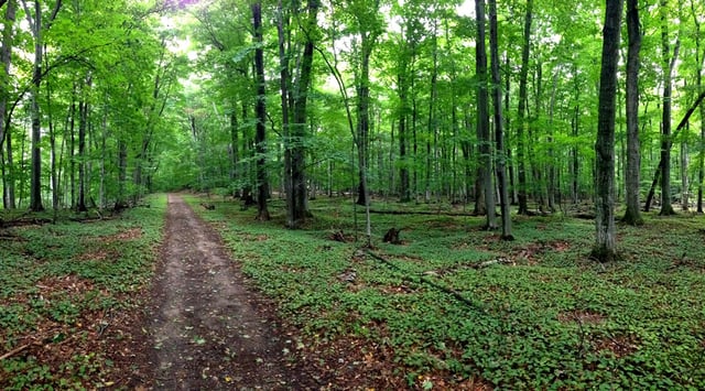 Reffitt Nature Preserve 2