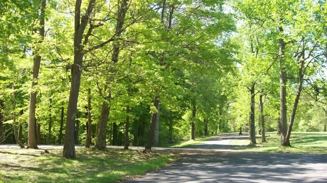 Galena-Lamb Park