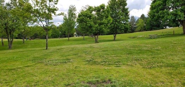 Sunnyside Park 6