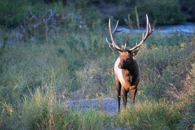 Crackerneck Wildlife Management Area and Ecological Reserve4