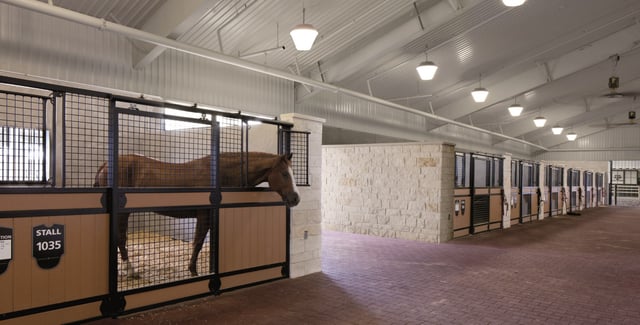 hildebrand equine complex horses.jpeg