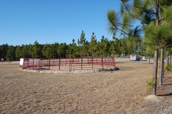 H. Cooper Black Jr. Memorial Field Trial and Recreation Area9
