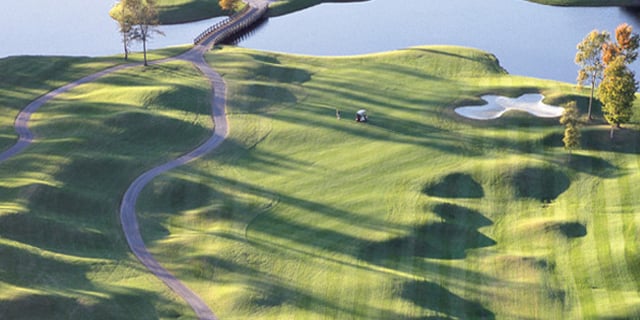 lions paw golf links 3