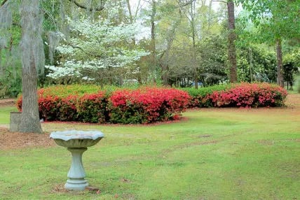 Lucas Park