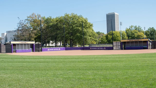 Albany Field