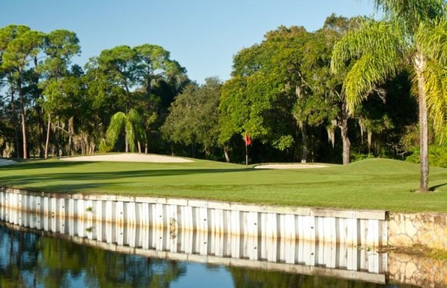 East Lake Woodlands - Golf Course3