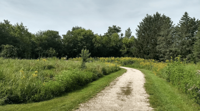 morgan creek park 4