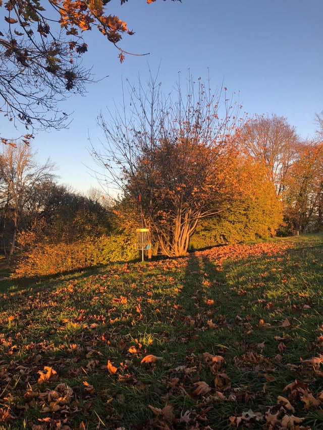 Stewart Pond Disc Golf 5
