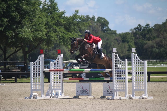 Florida Horse Park3