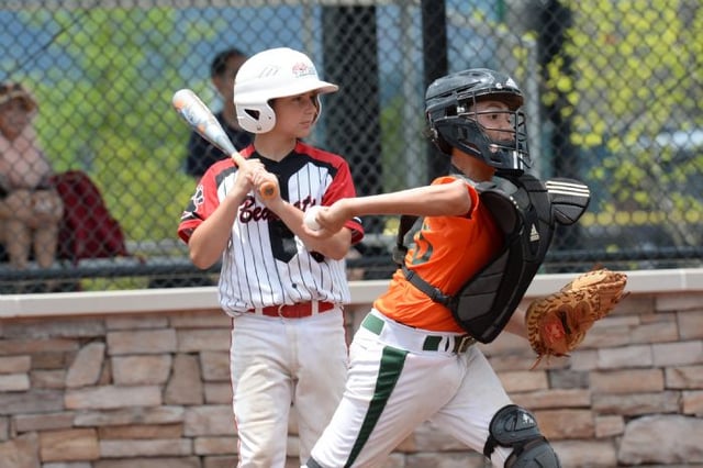 Forest Youth Athletic Association Park2