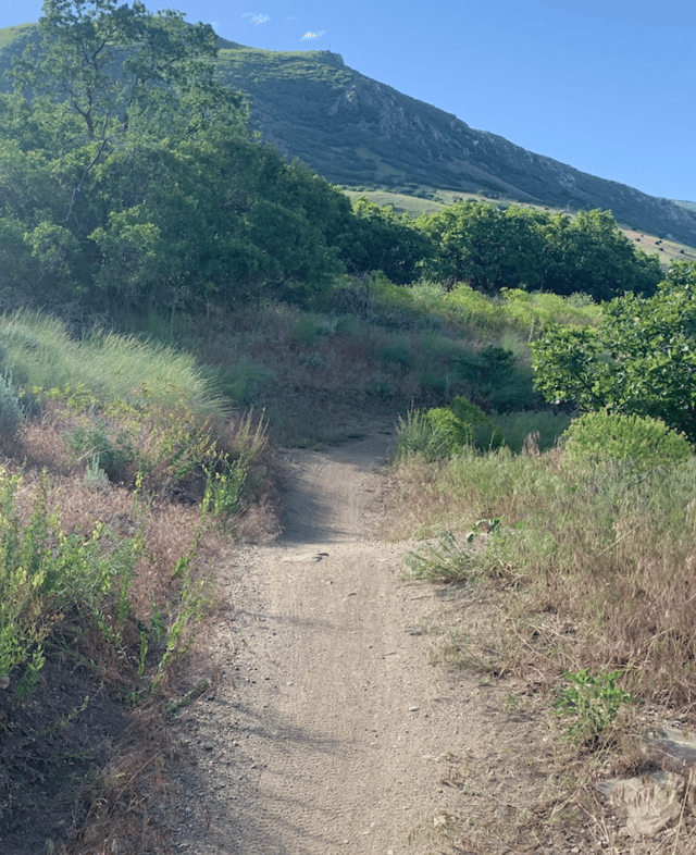 Screen Shot 2024-09-30 at 3.48.04 PM.png