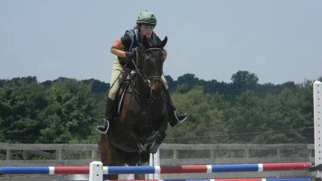 Virtue Stables7