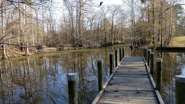 Richard Fleming Park-Cross Lake3