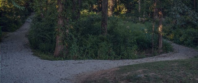 Richard L. Vissing Park2