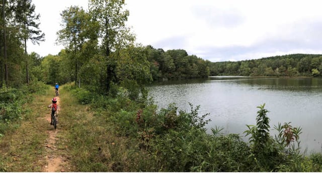 Stumphouse Mountain Bike Park 6