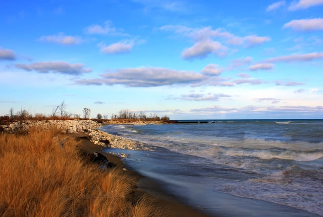 Illinois Beach State Park 3